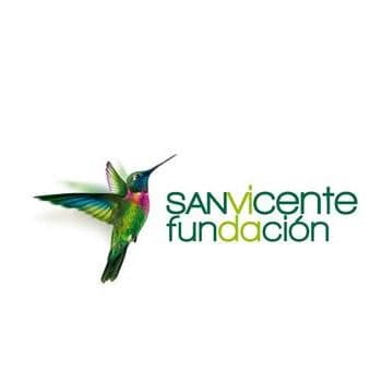 Logo Fundación San Vicente